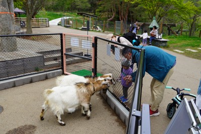 盛岡市動物公園、22年ぶり入園者20万人超え　重視するある理念